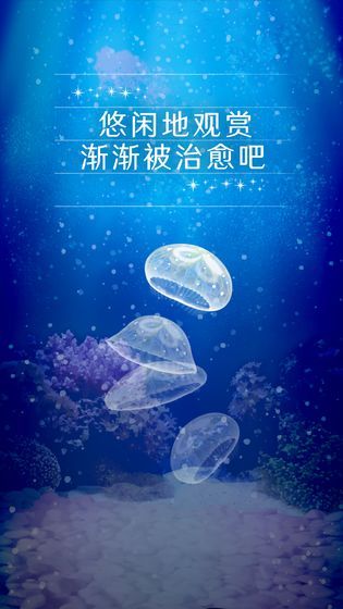 Jellyfish（养育水母的治愈）