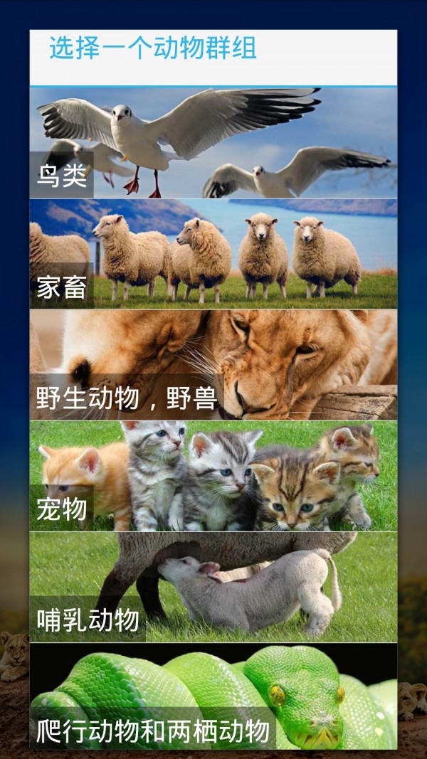 alotofcute-好多小可爱