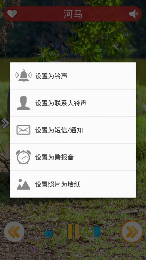 alotofcute-好多小可爱