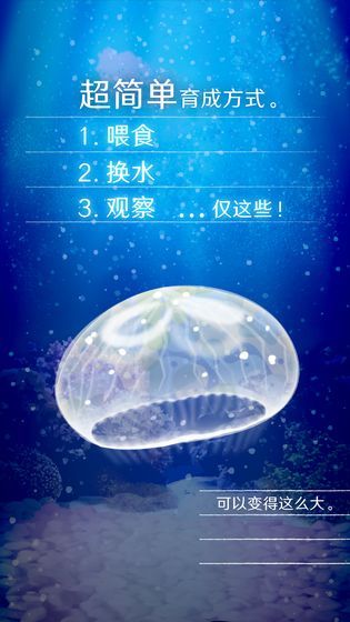 Jellyfish（养育水母的治愈）