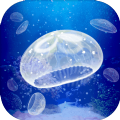 Jellyfish（养育水母的治愈）