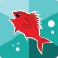 Hungryfin(饥饿终点)