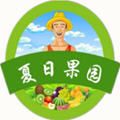 夏日果园