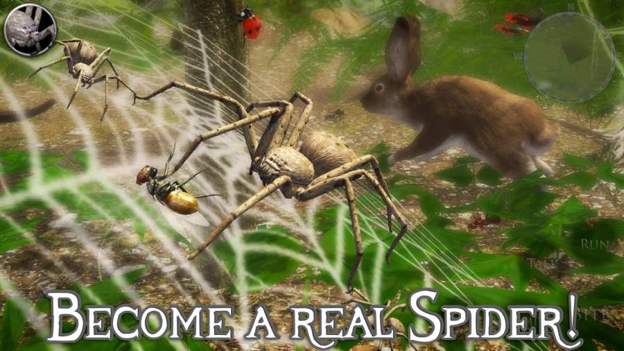 SpiderSim2（终极蜘蛛模拟器2）