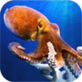 Octopuzzle(异形八爪鱼2)