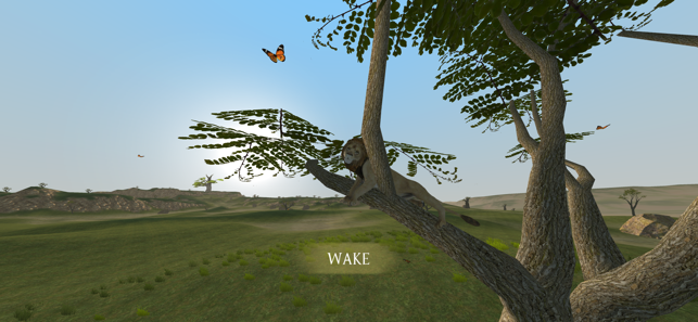 野生狮子生存模拟器（Wild Lion Sim）