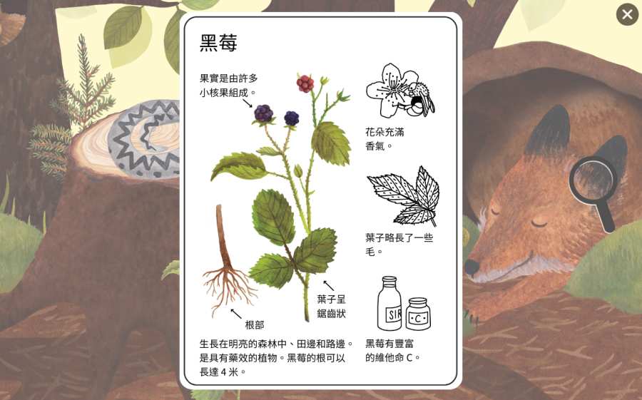 Little Mouse（小棕鼠的自然生态百科）