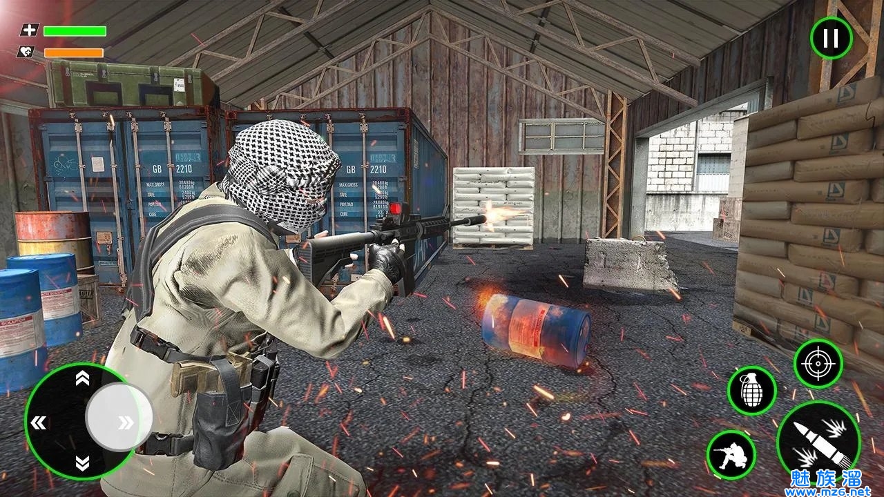 Shooting Terrorist