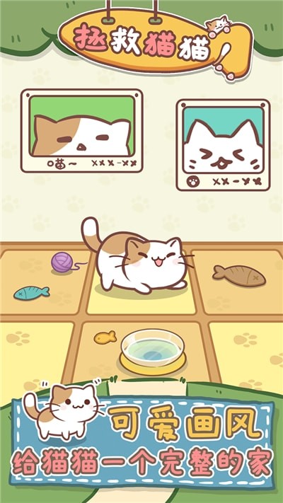 猫咪的毛