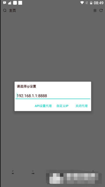 极影浏览器