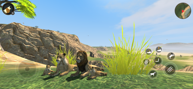 野生狮子生存模拟器（Wild Lion Sim）