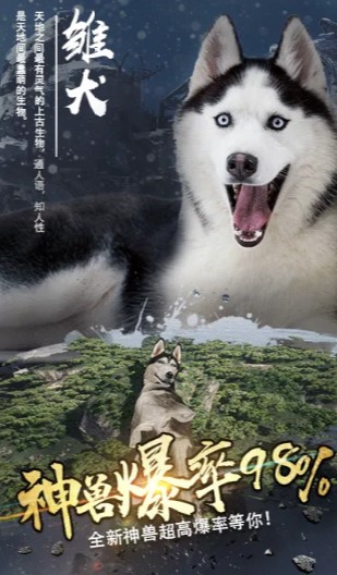 山海飞仙