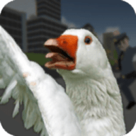 Goose City Rampage（鹅市狂暴）