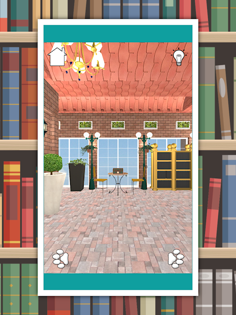 Library(逃离秘密图书馆)