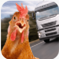 Chicken Challenge Cross Road Royale(过马路的鸡之终极挑战)