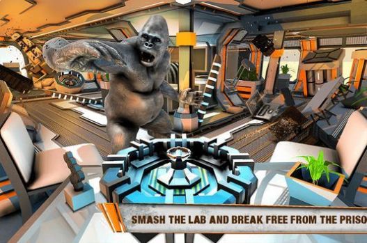 Gorilla Rampage Game（大猩猩横冲直撞）