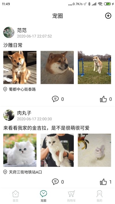 叮当宠屋