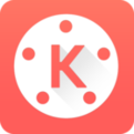 KineMaster(巧影高级)