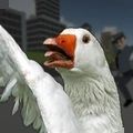 捣蛋鹅2手机版