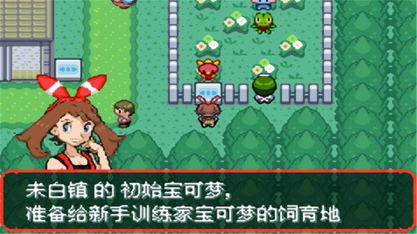 新究极绿宝石4