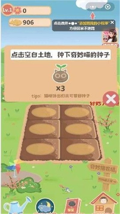 奇妙猫之家红包版