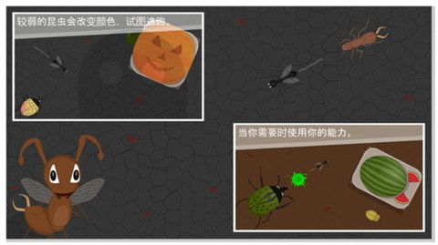 蚂蚁进化世界