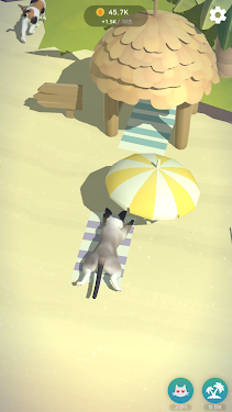 猫咪度假村
