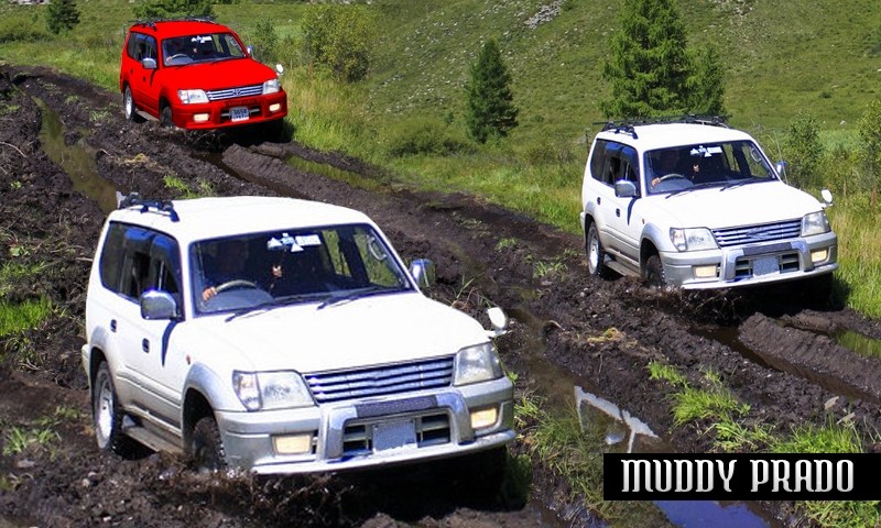 Offroad Prado Game（豪华越野普拉多驾驶模拟器2020）