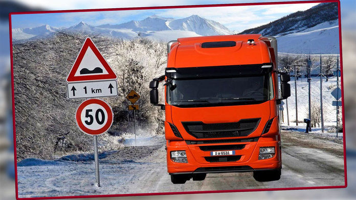 Real Euro Truck Driving Simulator 2019(疯狂重卡越野模拟)