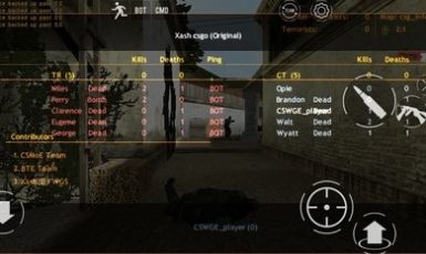 CS WgE（CSWGE白给模拟器）