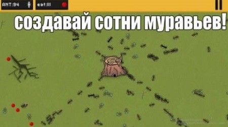 ants（蚂蚁领地）