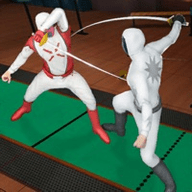 FencingSwordplay（击剑格斗锦标赛）