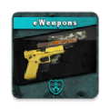 Gun Builder Custom Guns(枪制造商定制枪)