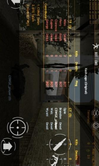 CS WgE（cswgev13）