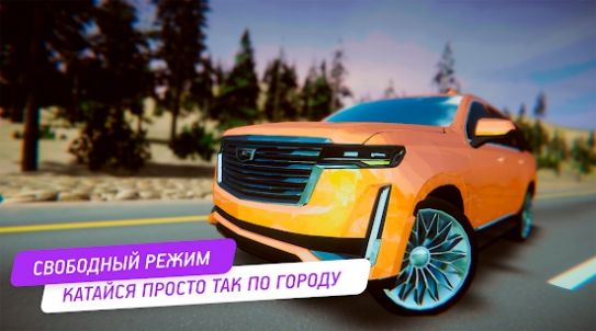 Cadillac Simulator（凯迪拉克模拟器）