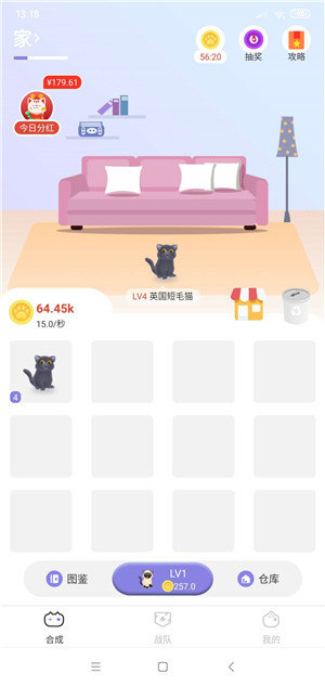 疯狂猫咪v1.0.0