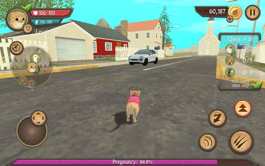 Project Cat