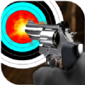 Real Gun Shooting Practice（实枪射击练习靶场）