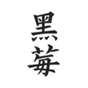 黑莓小说去广告版