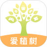 爱植树