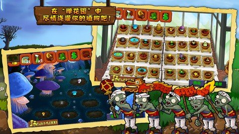 植物大战僵尸西游版30.12