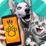 Human to Cat（宠物语言翻译器中文版）