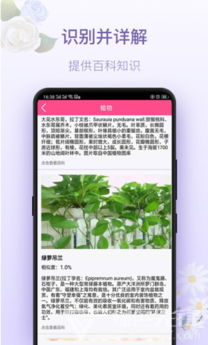 识花神器