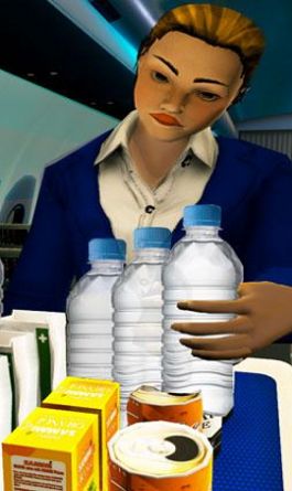 Airport Simulator 3D（机场空姐模拟器）