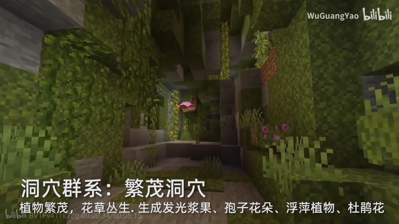 我的世界1.1.0.0国际版