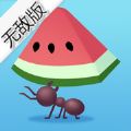 IdleAnts（小蚁帝国）