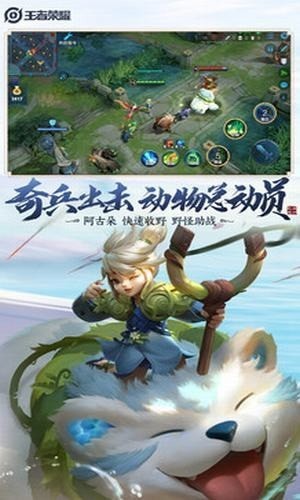 王者帧率一键60