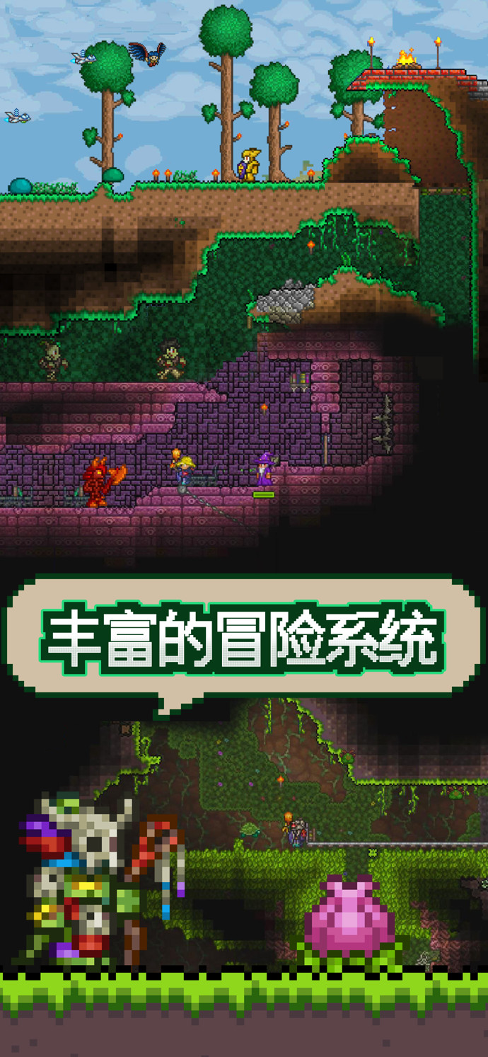 TL Pro（泰拉瑞亚修改器tlpro）