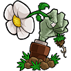 植物大战僵尸内购免费版