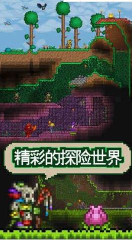 泰拉瑞亚1.4.0.5刷物品bug版